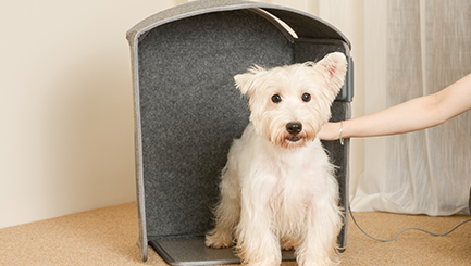 Ningbo Meeting Industrial&Trading Co., Ltd