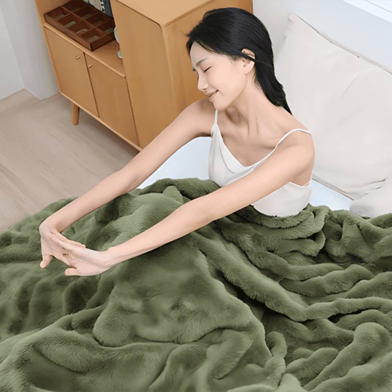 Multifunctional Smart Electric Blanket